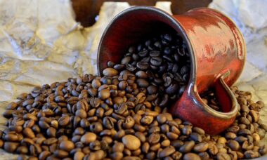 kopi robusta