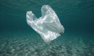Apa Efek Jangka Panjang Plastik di Laut