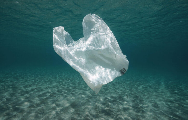 Apa Efek Jangka Panjang Plastik di Laut