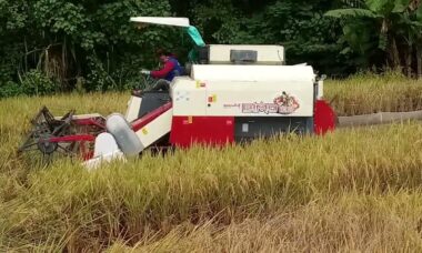 manfaat combine harvester