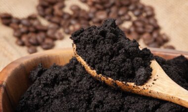 Manfaat Ampas Kopi untuk Tanaman