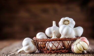 cara berjualan bawang putih