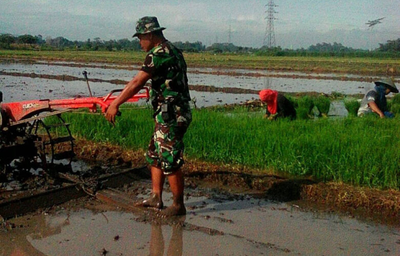 cara menggunakan hand traktor