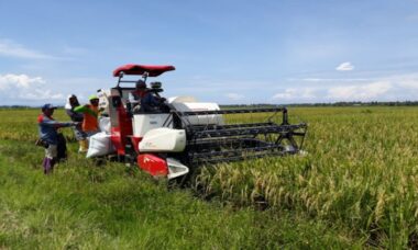 Keunggulan combine harvester