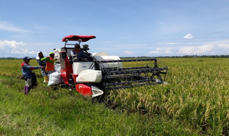 Keunggulan combine harvester