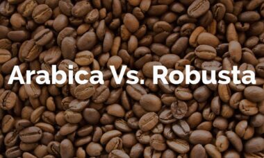 Jenis Buah Kopi Arabika dan Robusta
