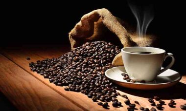 tips panen buah kopi yang matang