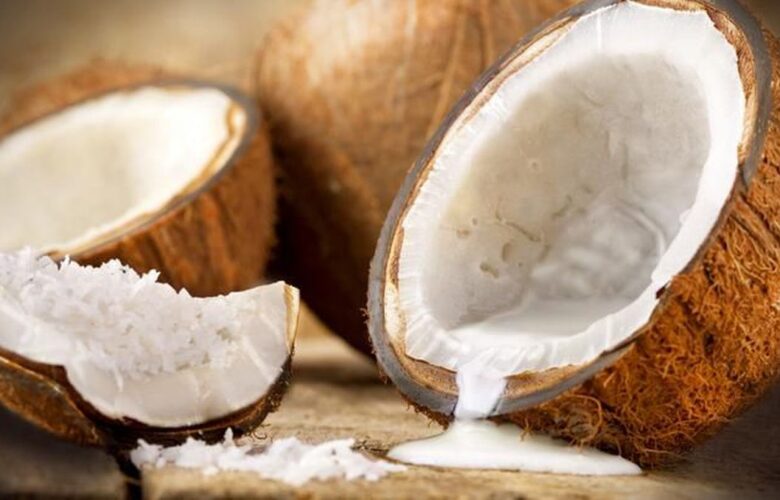 peluang usaha pemarut kelapa