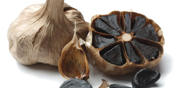 Usaha Bawang Hitam Rumahan