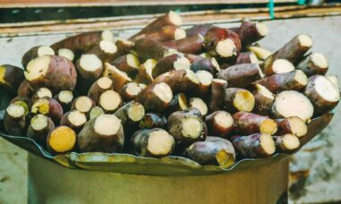 jenis singkong yang berbahaya