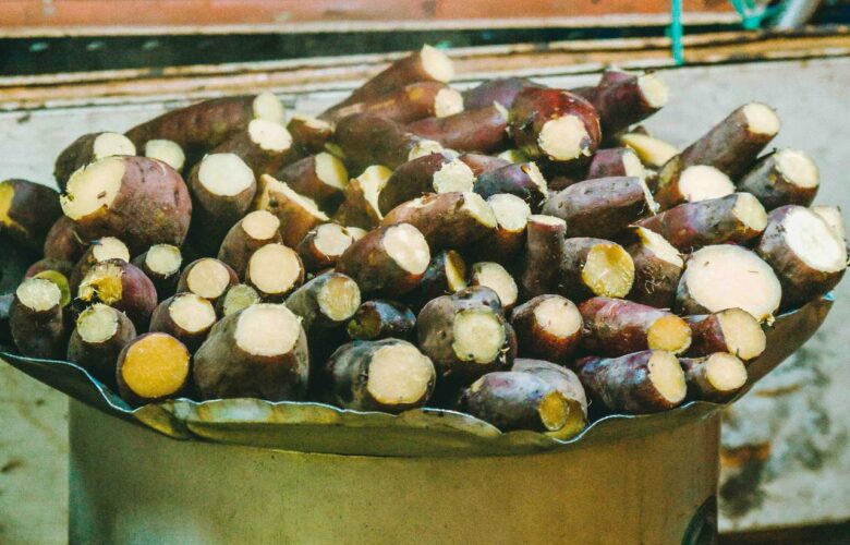 jenis singkong yang berbahaya