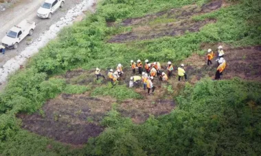 peran cocomesh dalam restorasi lingkungan