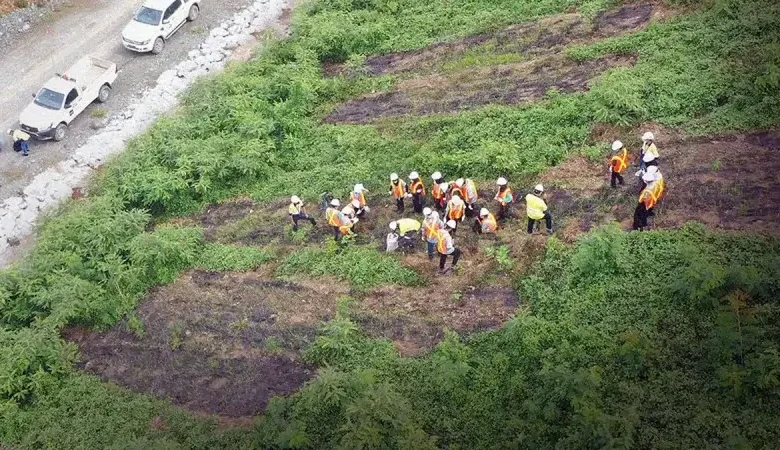 peran cocomesh dalam restorasi lingkungan