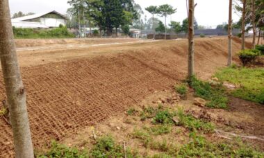 Peran cocomesh dalam penghijauan