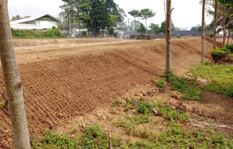 Peran cocomesh dalam penghijauan