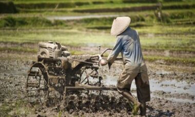 cara efisien membajak sawah modern