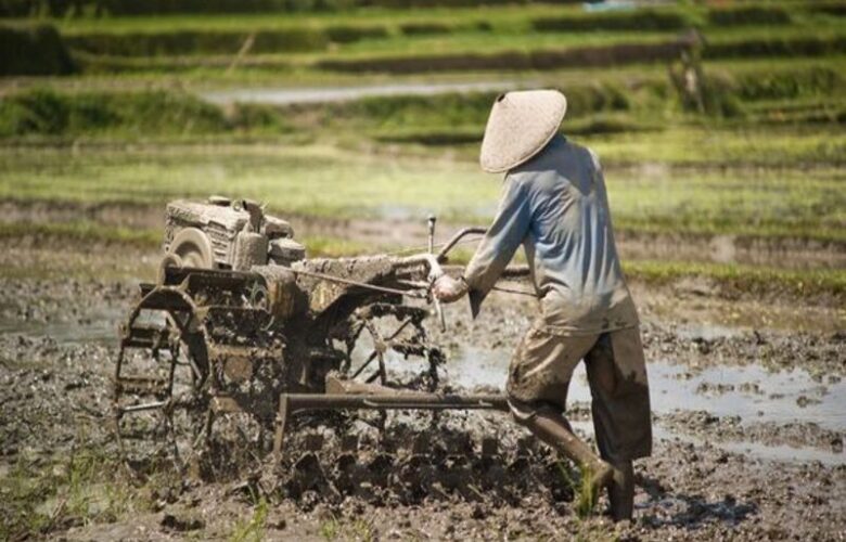 cara efisien membajak sawah modern