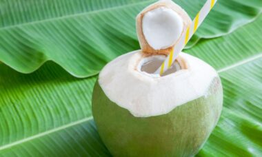 cara membuat olahan kelapa