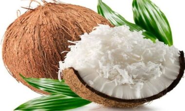 peras santan kelapa cepat