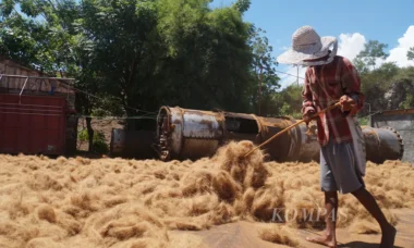 Sabut kelapa sebagai bahan penunjang pertanian