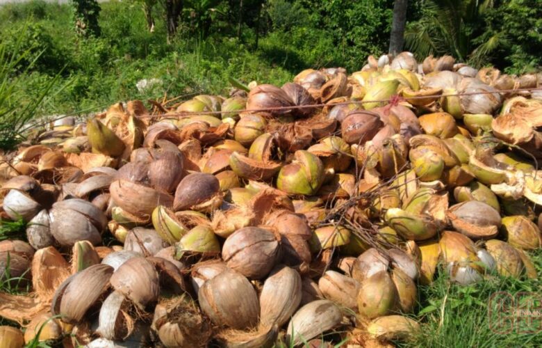 Pemanfaatan Sabut Kelapa untuk Bangunan Hijau