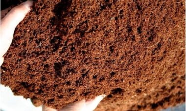 Langkah Pembuatan Cocopeat Ramah Lingkungan