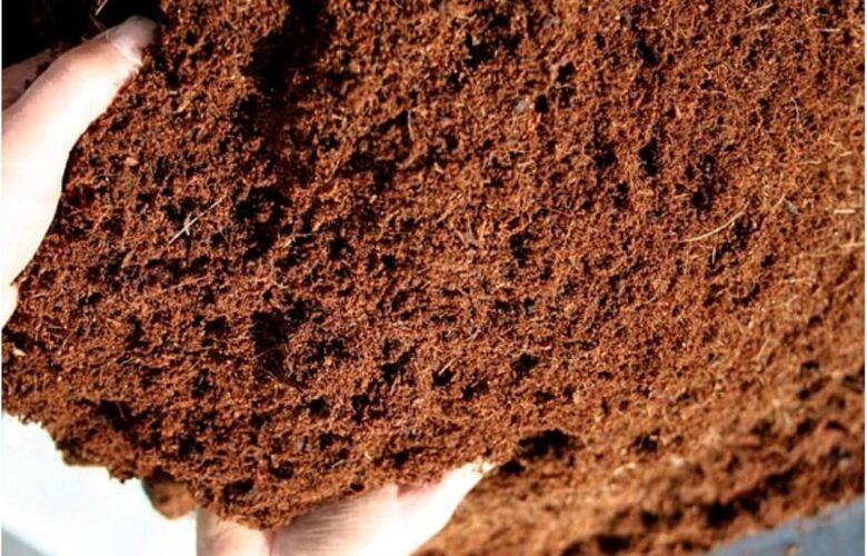 Langkah Pembuatan Cocopeat Ramah Lingkungan
