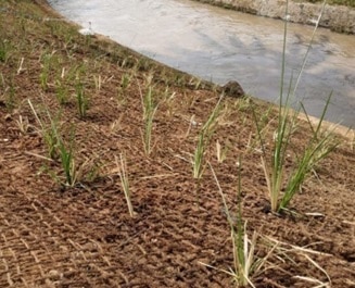 jaring sabut kelapa penahan sungai