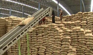 BISNIS PENGGILINGAN BAHAN PANGAN USAHA