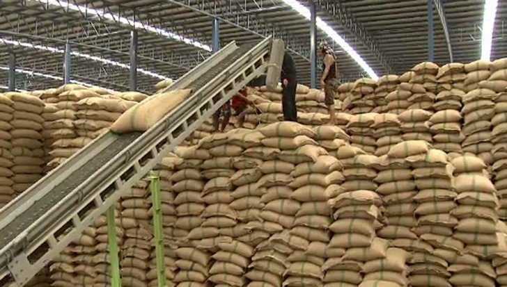 BISNIS PENGGILINGAN BAHAN PANGAN USAHA