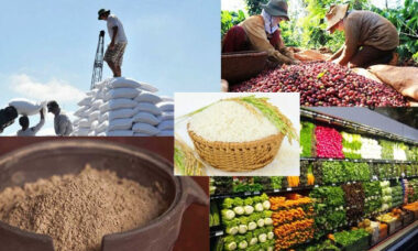 produksi bahan pangan skala usaha
