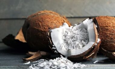 ciri ciri kelapa untuk santan