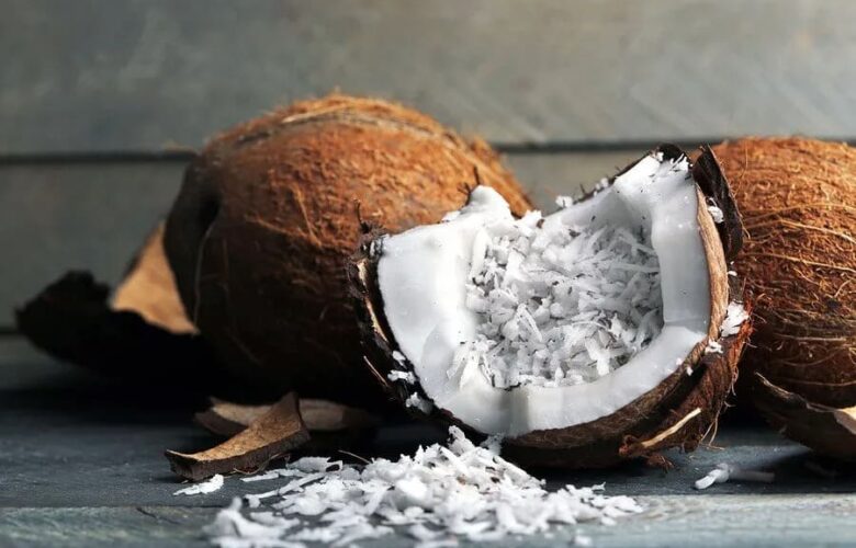 ciri ciri kelapa untuk santan