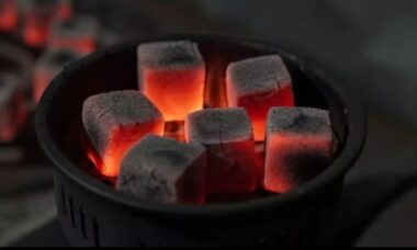 Charcoal Briquettes Gas Grill