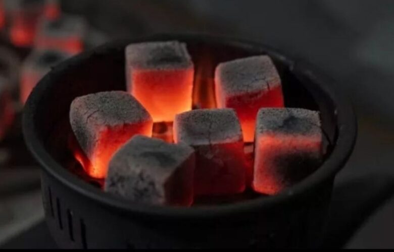 Charcoal Briquettes Gas Grill