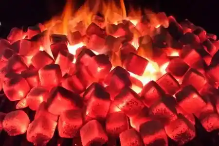 coconut shell charcoal