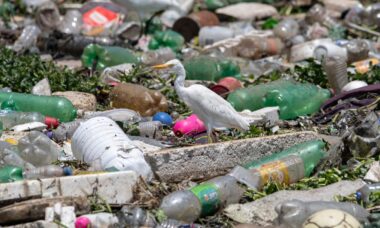 cara mulai bisnis daur ulang plastik