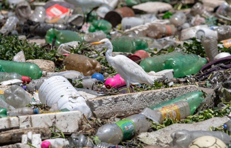 cara mulai bisnis daur ulang plastik