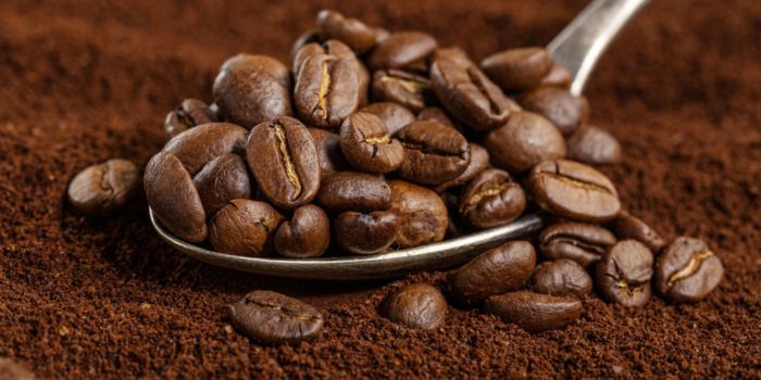 Cara Meningkatkan Kualitas Bubuk Kopi