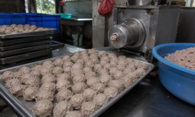 proses produksi bakso skala besar