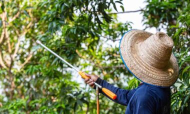 kesalahan umum menggunakan hand sprayer elektrik