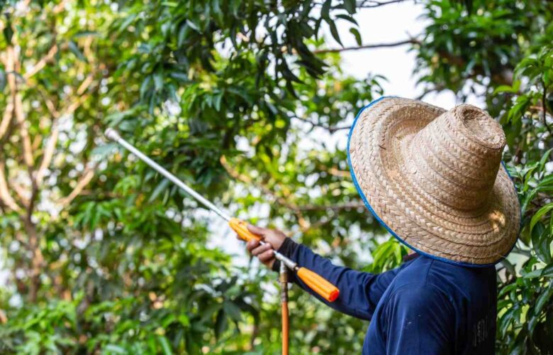 kesalahan umum menggunakan hand sprayer elektrik