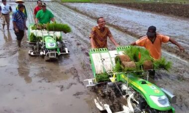 Cara Mengatasi Keterlambatan Tanam Padi