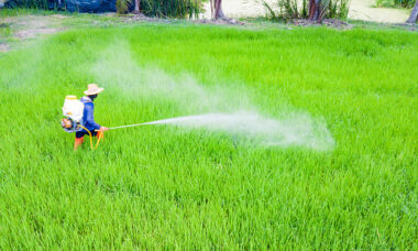 cara merawat hand sprayer elektrik