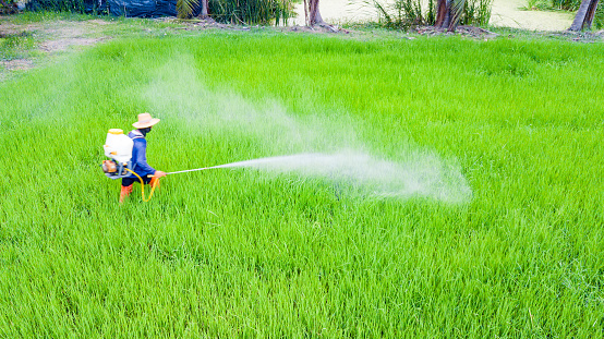 cara merawat hand sprayer elektrik