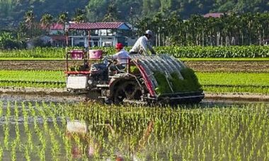 Sistem Pelayanan Tanam Padi Mekanis