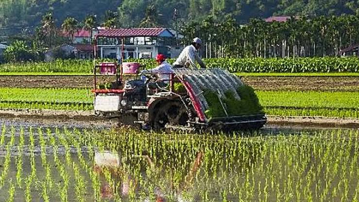 Sistem Pelayanan Tanam Padi Mekanis