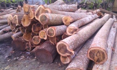 manfaat wood fiber untuk tanaman