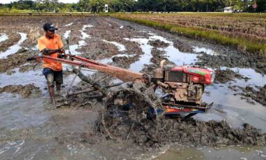 kedalaman bajak untuk lahan sawah