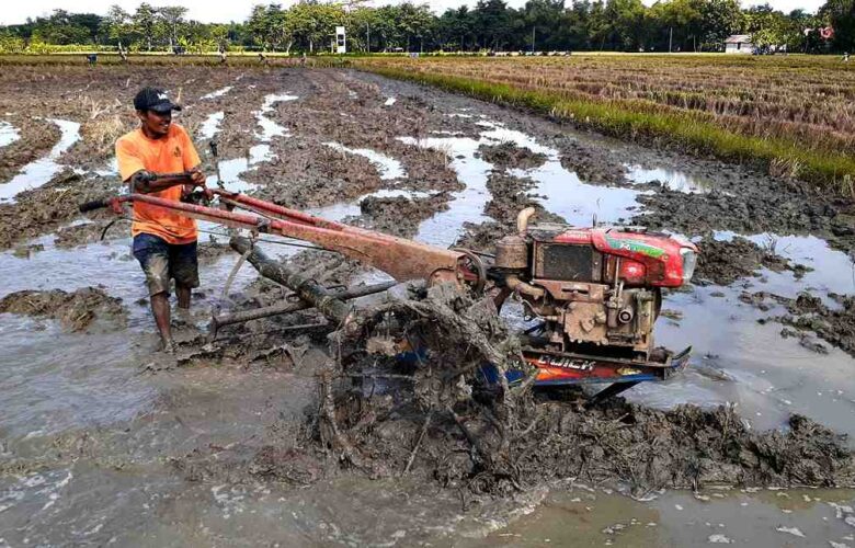 kedalaman bajak untuk lahan sawah